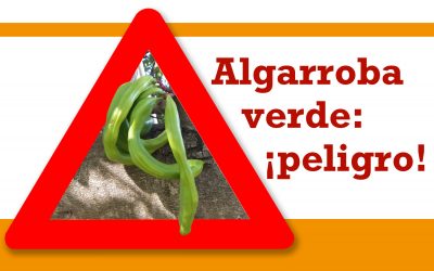 Algarroba verde: ¡peligro!