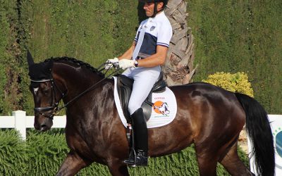 Sergio Martí, jinete de doma clásica y entrenador: el placer de entenderse con los caballos