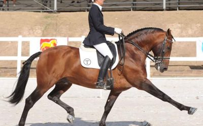 Vanesa Ribes, jinete profesional y profesora de Clásica: “El caballo es una forma de vida, mi vida”