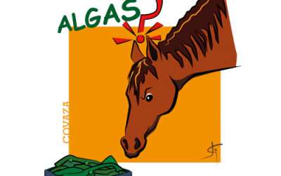 ¿Por qué microalgas y no algas en la nutrición del caballo?