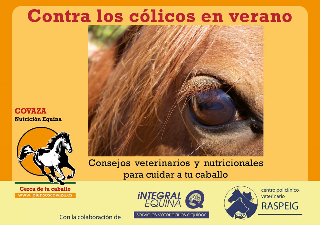 Contra los cólicos equinos en verano: consejos veterinarios y nutricionales para cuidar a tu caballo.